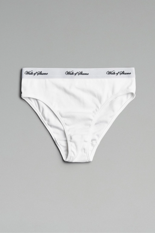 Трусы – брифы