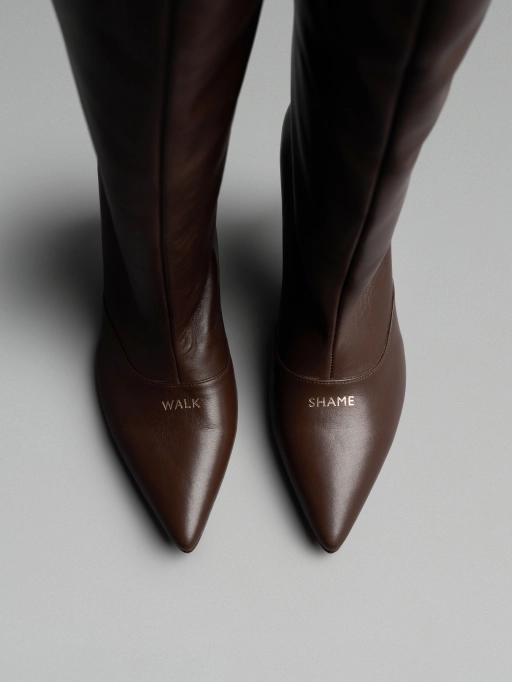 Коричневые высокие сапоги